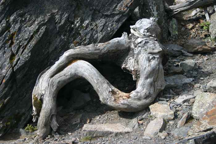 Landscape 2 by Alice Marie Gravely, Image 7.