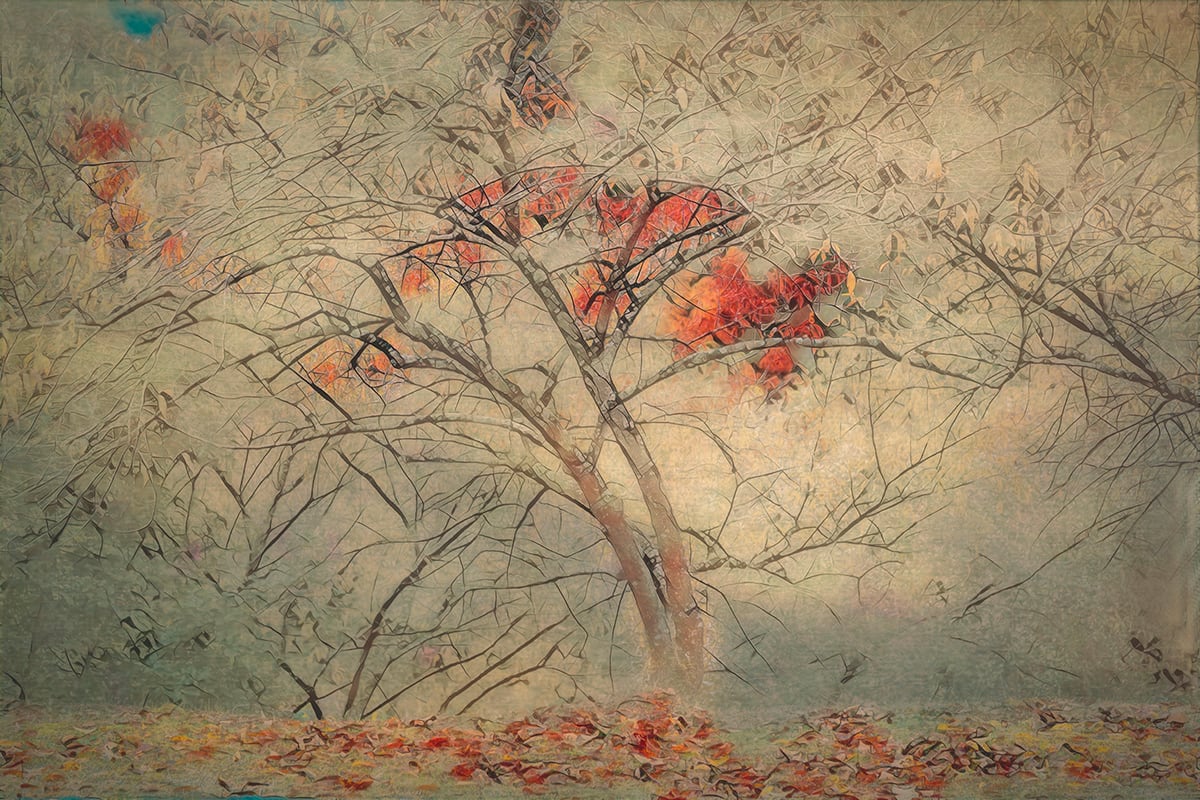 Impressions of a Japanese Landscape No. 13 by Veronica Gray 