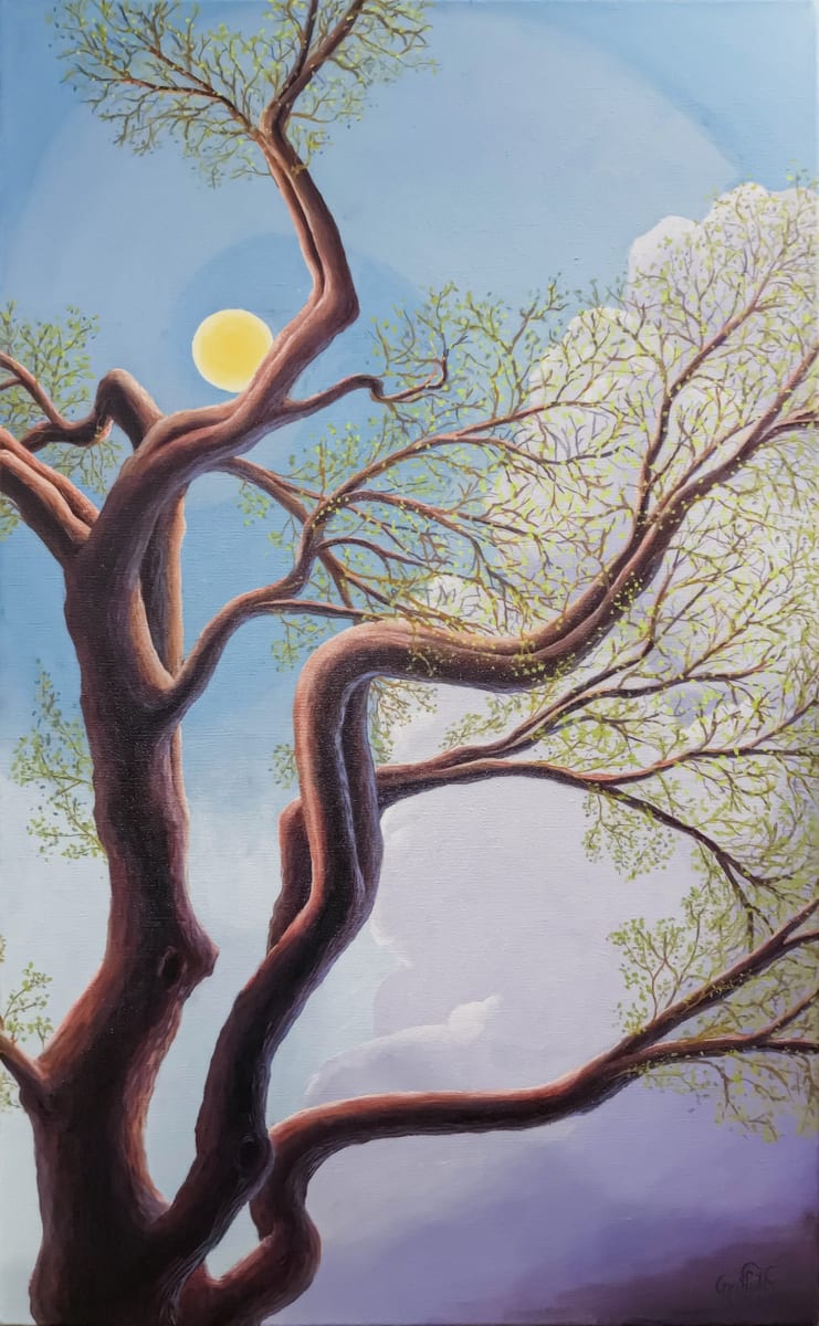 A Hint of Spring by Timothy Griffith, Image 10.