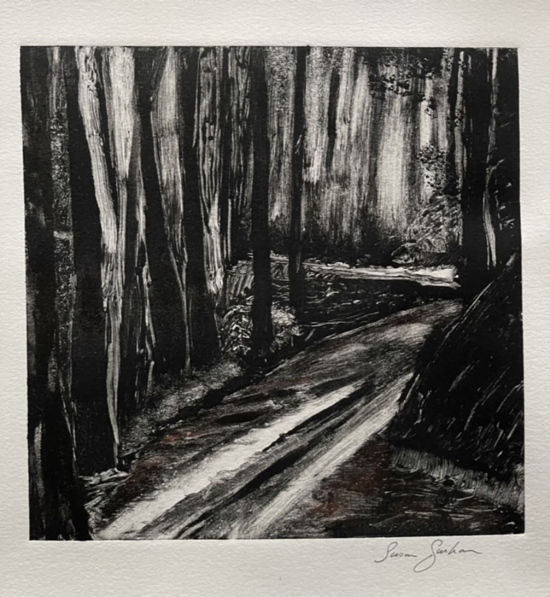 Muir Woods Mystifying Path by Susan Guihan 