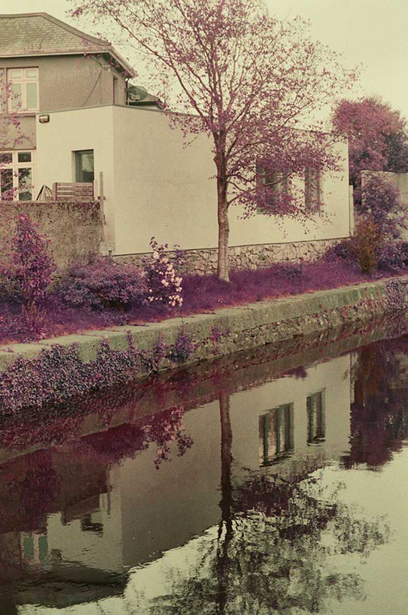 Reflections of a Dream by Karineh Gurjian 