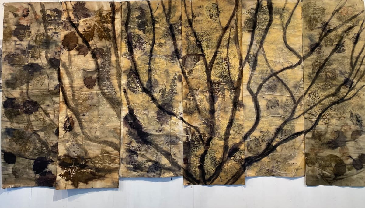 Bare Vine Maple by Christine Harrison, Image 8.