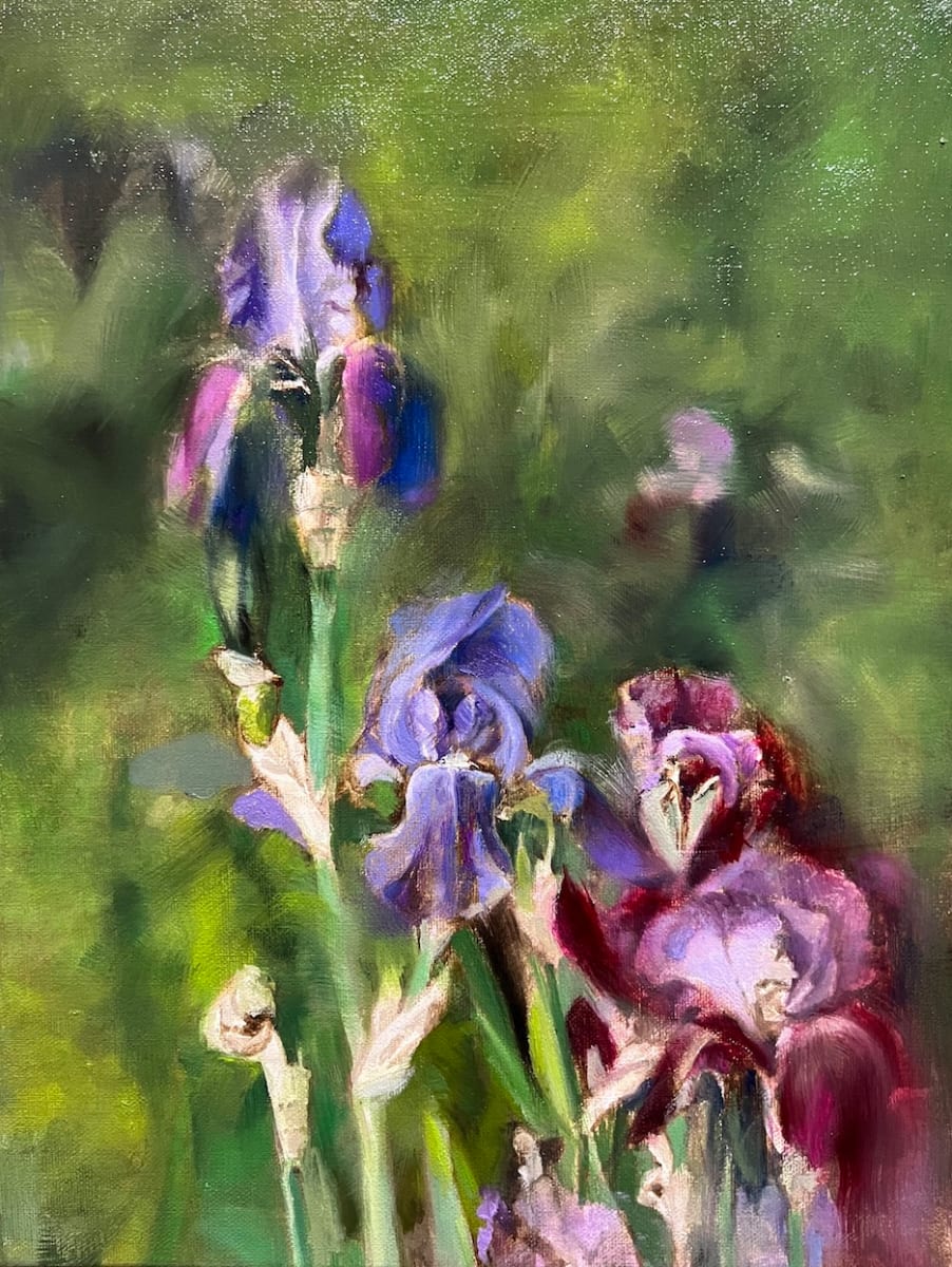 Purple Irises by Hilary Gomes 