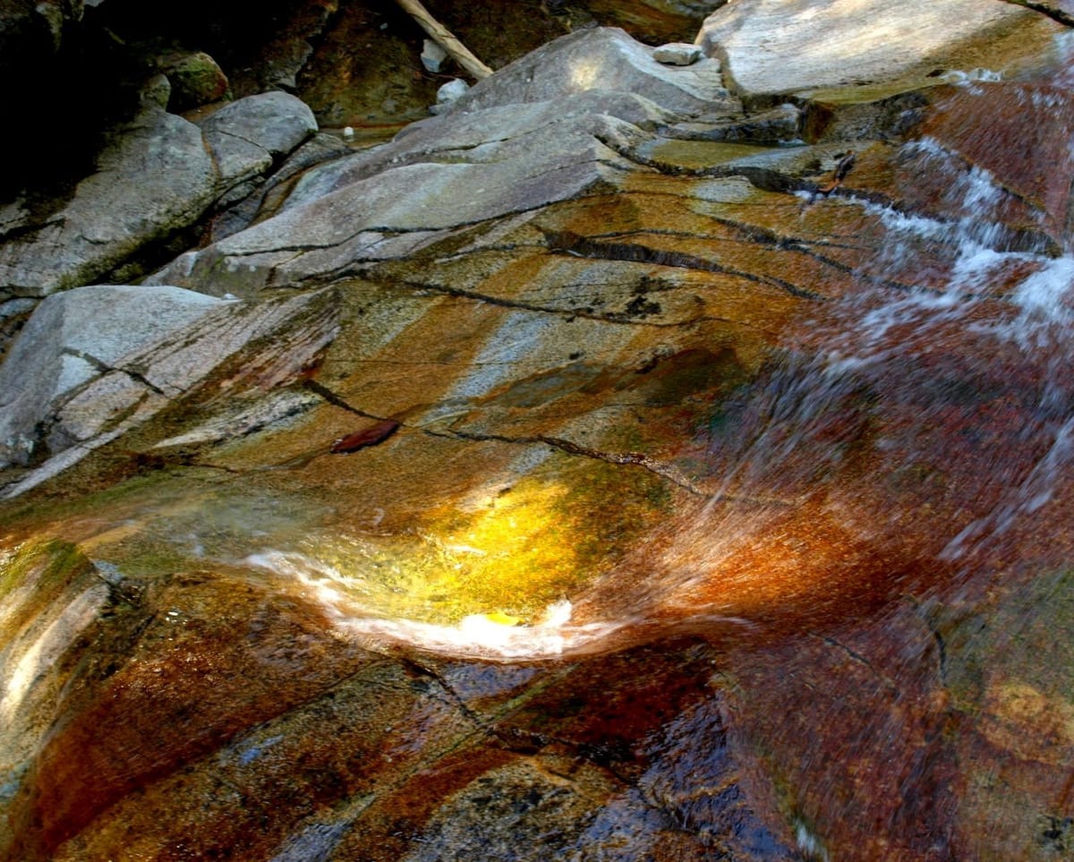 Small Pool with Ray of Sunshine by Donald Hill 