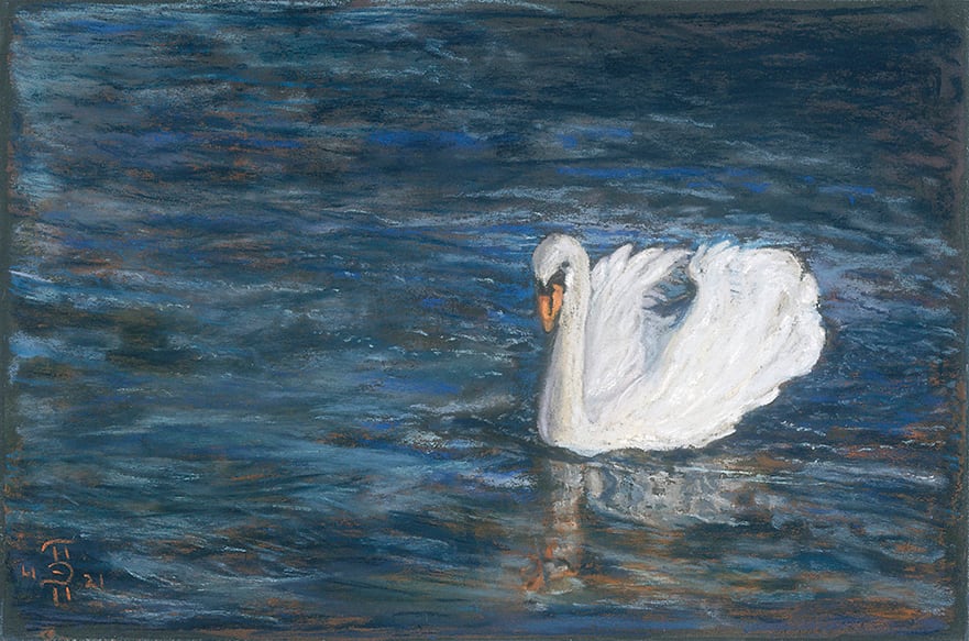 Swan on Lake Geneva by April Hoskins 