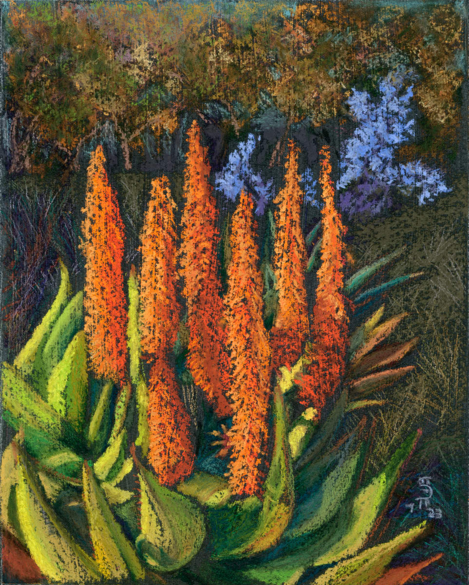 Aloe Vera in the Gardens by April Hoskins 