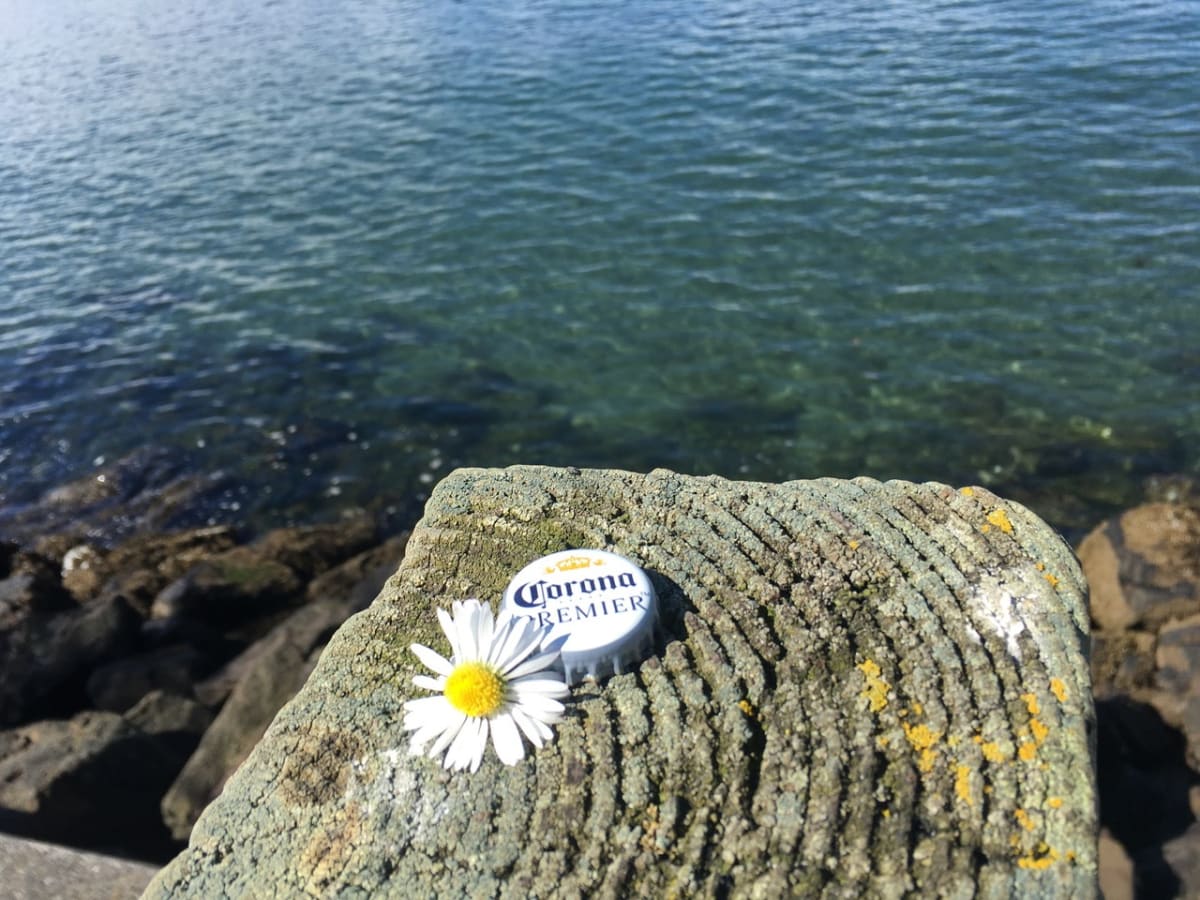 Corona Pier Flower by Connie Innis 