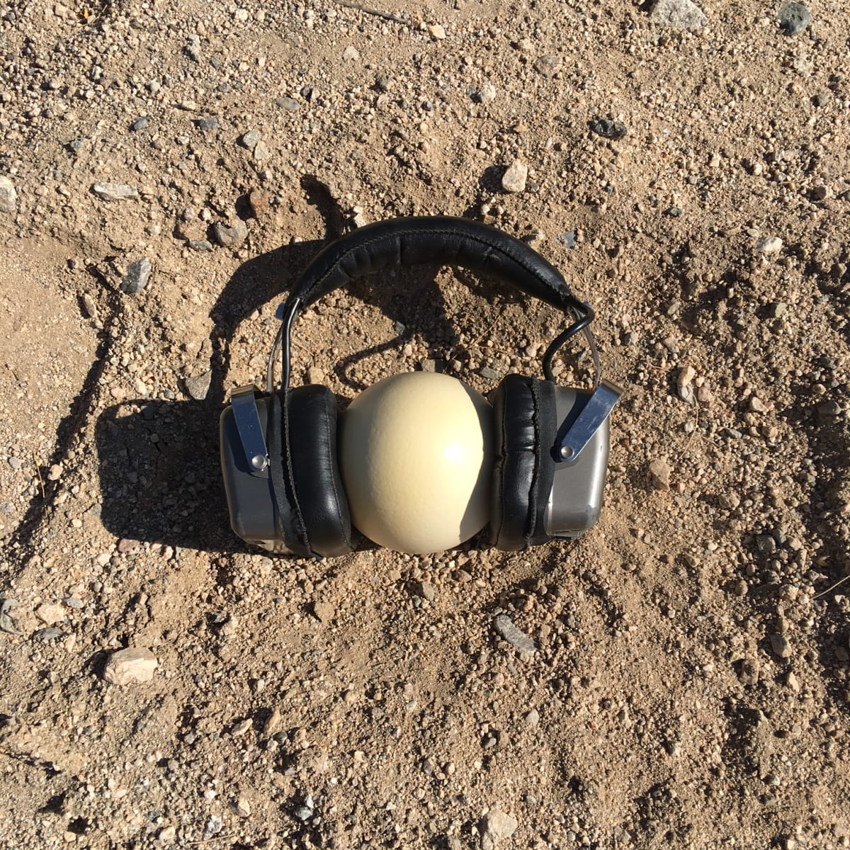 My Head in the Sand by David Isakson 