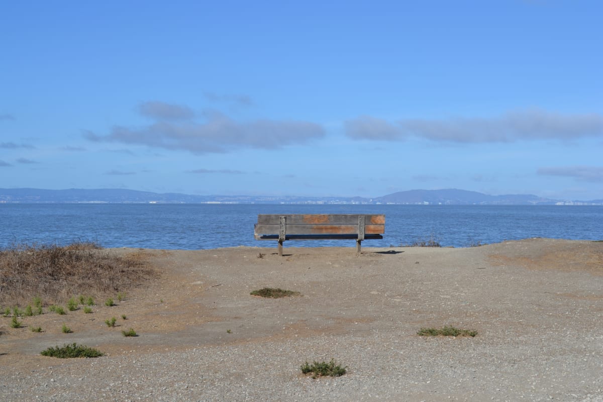 SF Bay by Deborah Johnson 