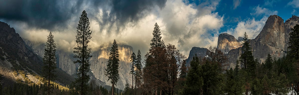 Vallée de Yosemite by Michelle Ranee Johnson 