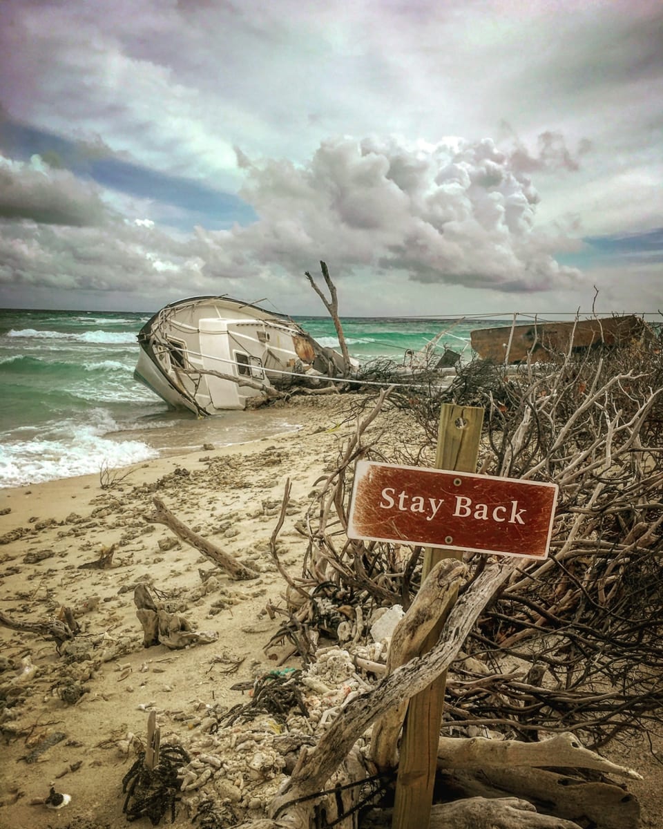 Stay Back by Theresa Kalvaitis 