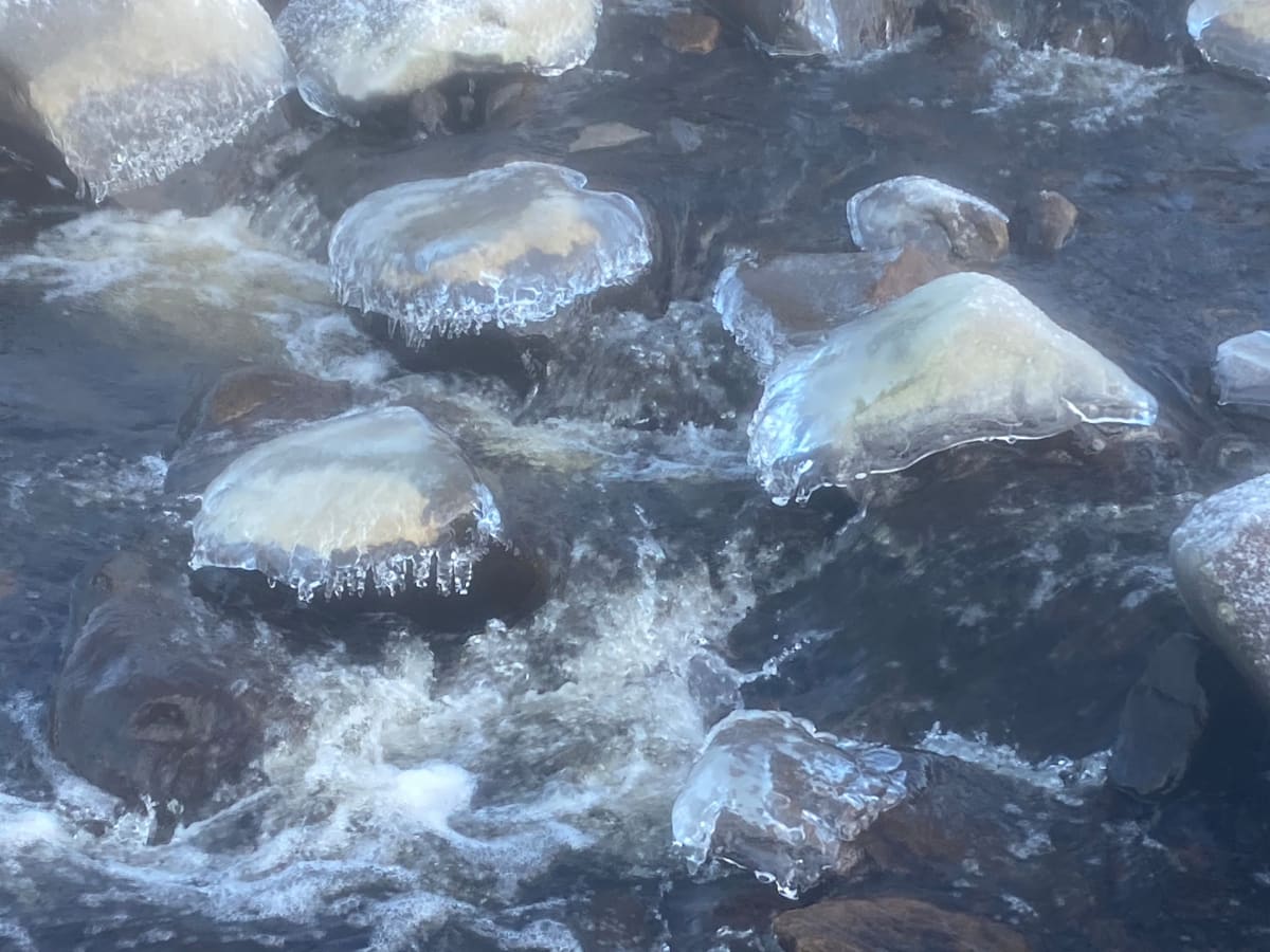 Ice Jellyfish, Winter County Durham, UK by James Keay-Bright 