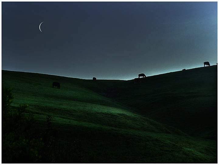 A Silver of Light on the Pasture 1 of 1 by Wayne D. King 