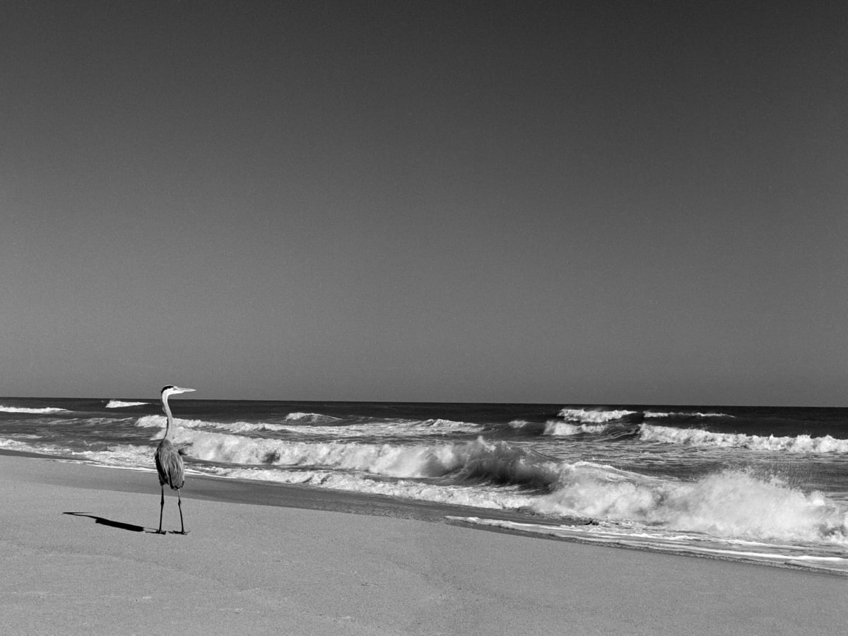 Looking East by Donald M. Kratt 