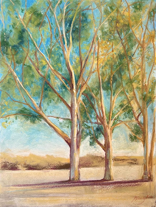 Eucalyptus at Newport by Wendy Ku 