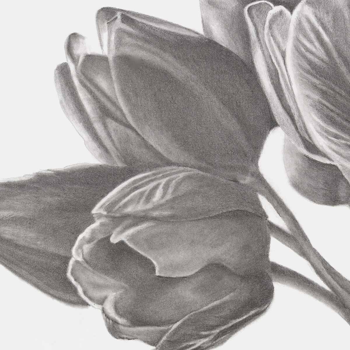 Stillness in Bloom by Leann Thompson, Image 5.