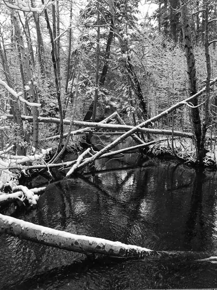 Onset of Winter by Lisa M Cronin, Image 16.