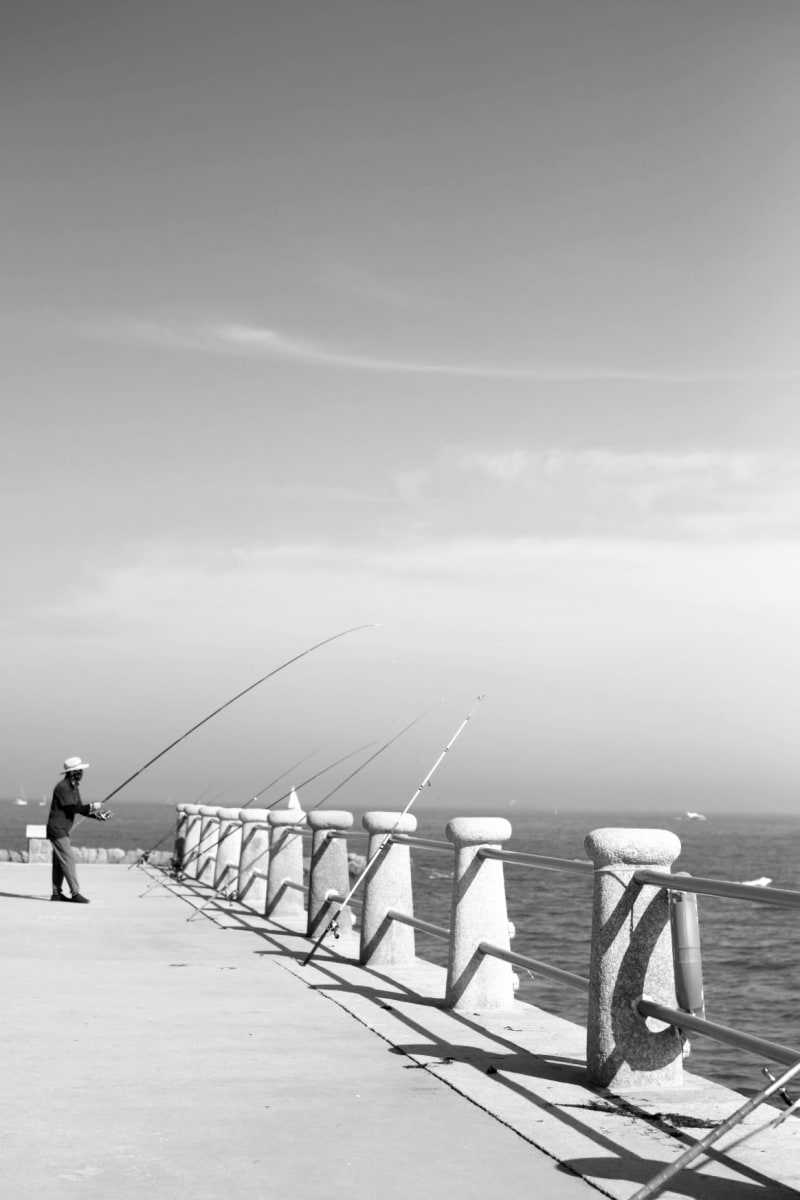 Angling with Sea by Lavendar Liu 