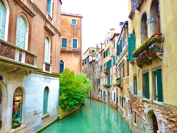 Venice Street by Andrea London 