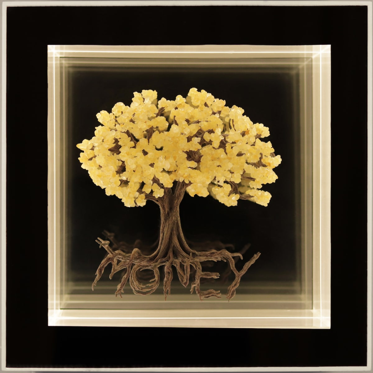 Tree of Money by Lucas Luminnari 