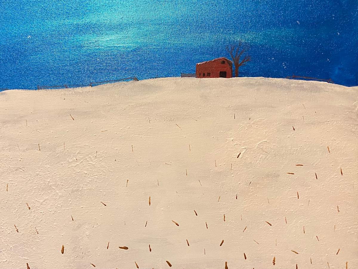 Winter Night in Iowa by Pete Malmberg 