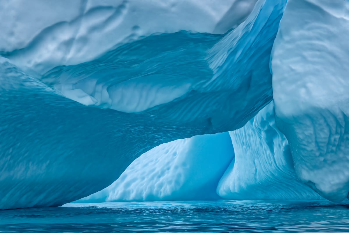 Underneath the Antarctic Berg by Mark Zukowski 