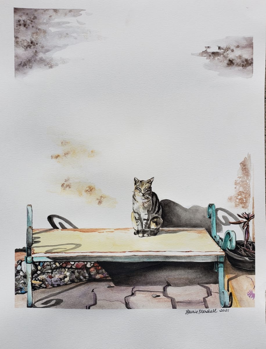 Siesta de Gato by Laurie Marshall 