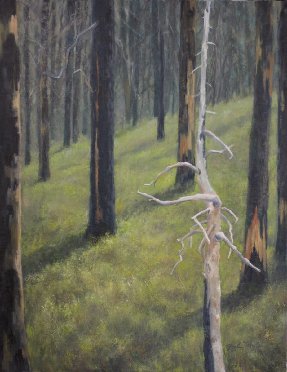 The Snag in Spring by Gayle Martin 