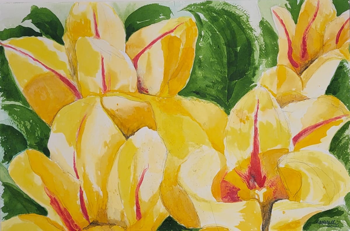 The Garden by Donna Maselli 
