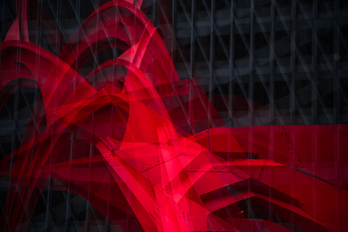 Fragmented Flamingo, Chicago by Morgane Mathews 