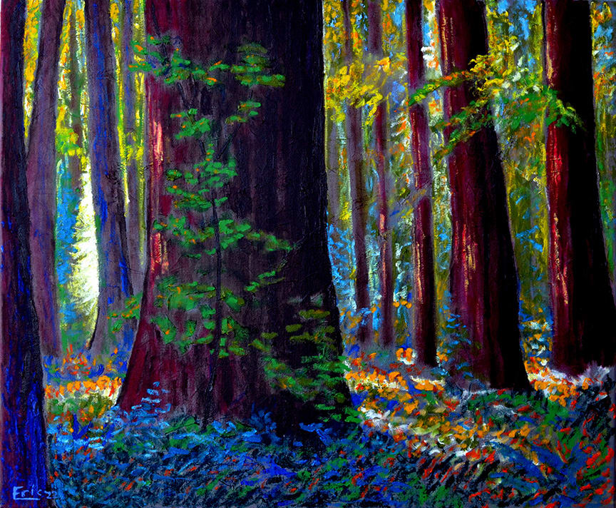 Light in the Forest by Eric Matranga, Image 3.