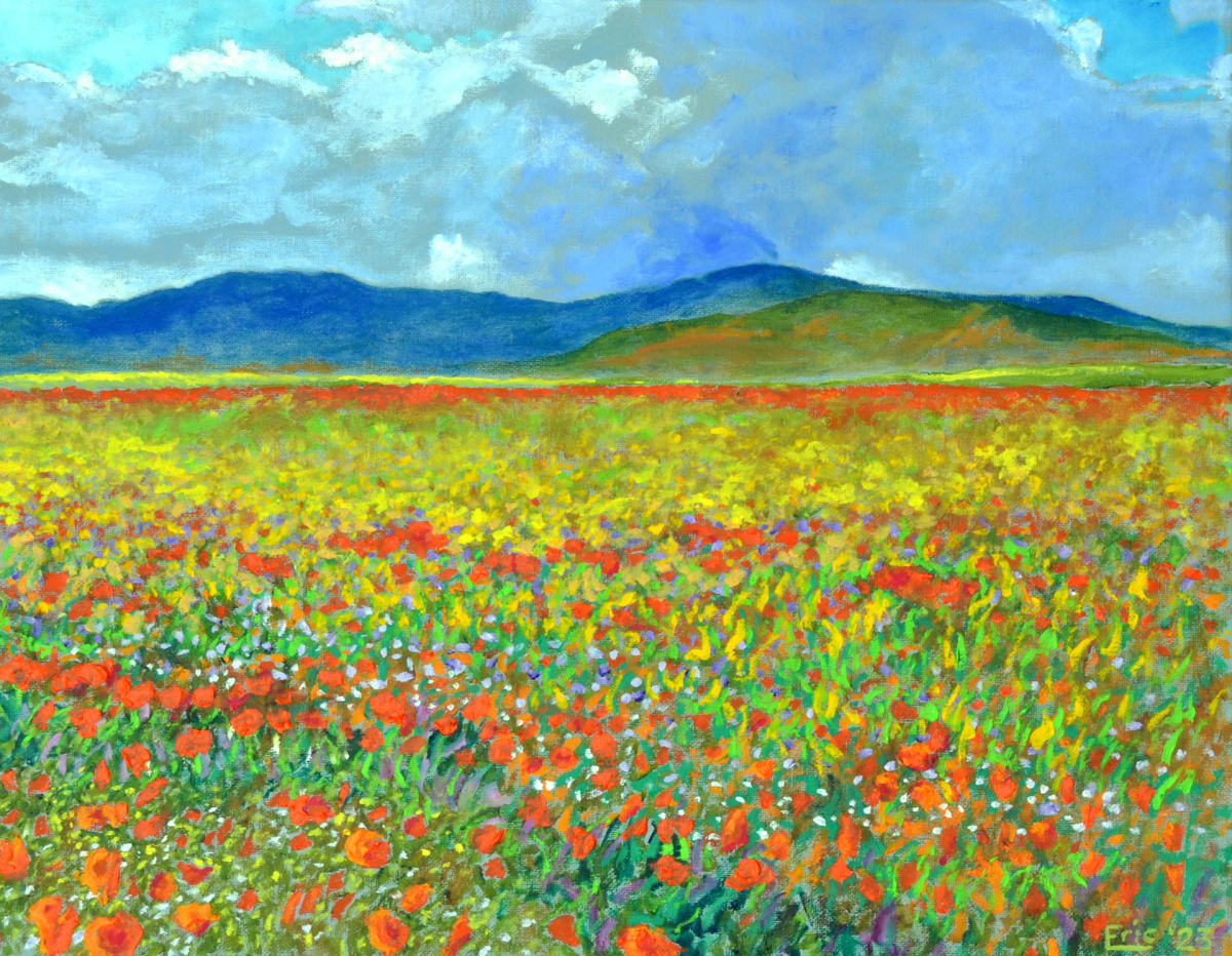 Superbloom by Eric Matranga 