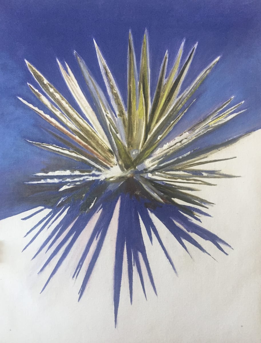 Yucca in Snow by Elizabeth May 