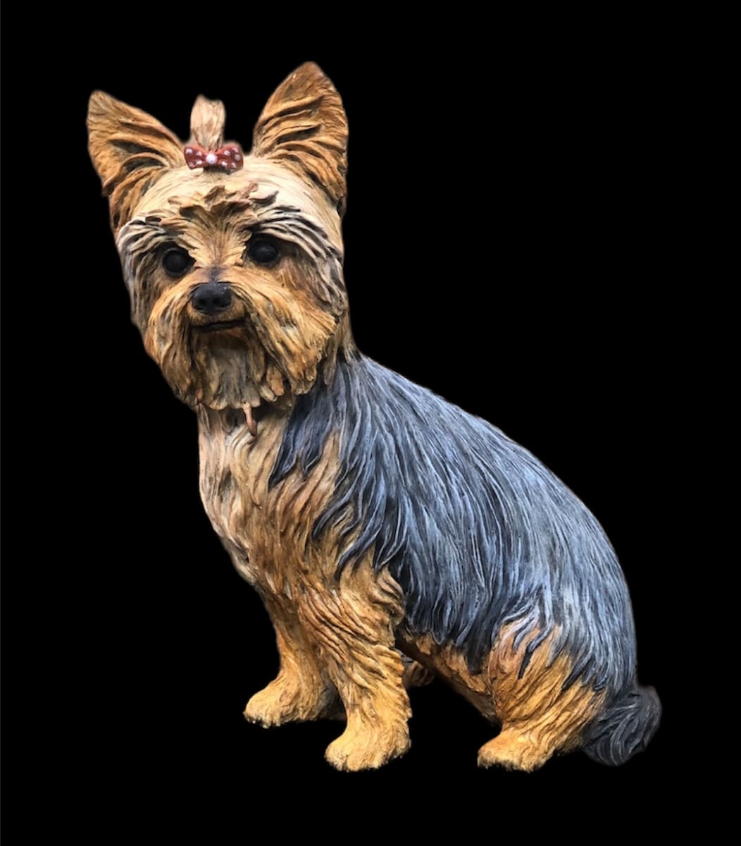 Yorkshire Terrier by Diana McClaran 