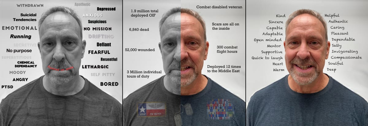 So Now I'm a Veteran by James Meyer, Image 6.