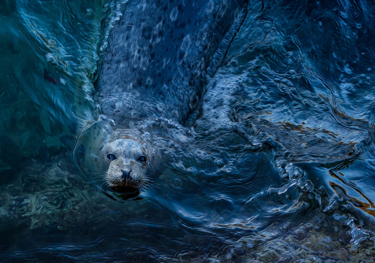 Living in a Painted World by Lisa Miller, Image 10.