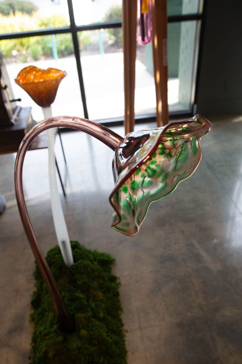 Glass Floor Flower by Chris Mosley, Image 18.