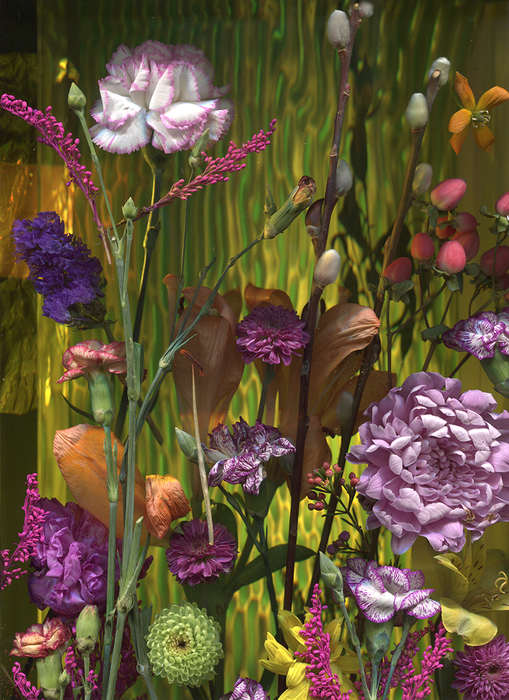 Flora #68 by James Mullen 