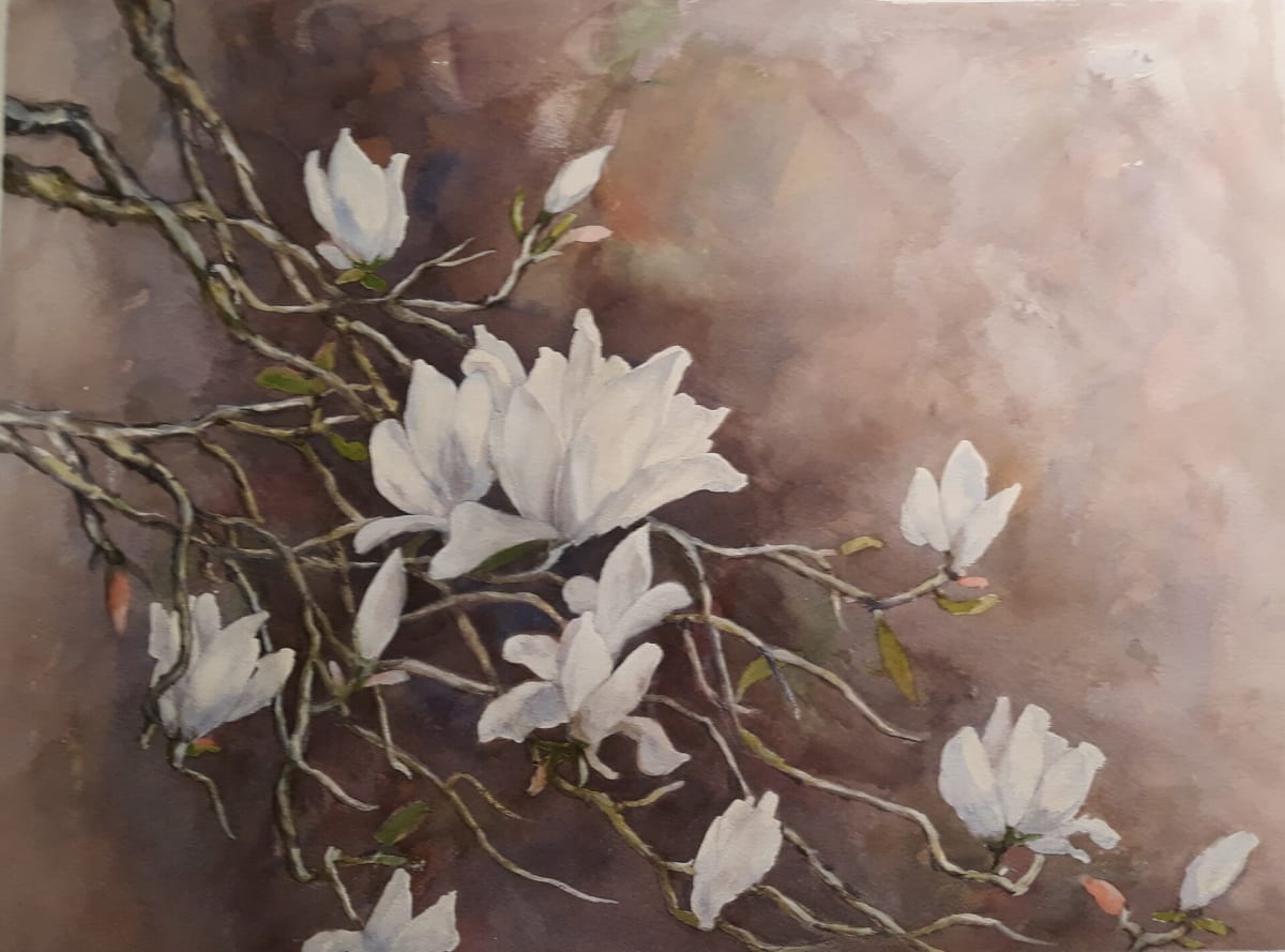 Magnolia 2 by Myong Johnston 