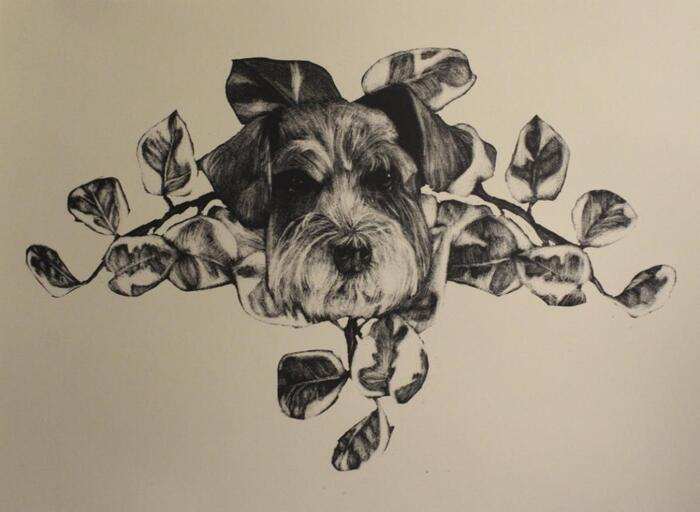 Shiloh by Emily Neslage, Image 3.