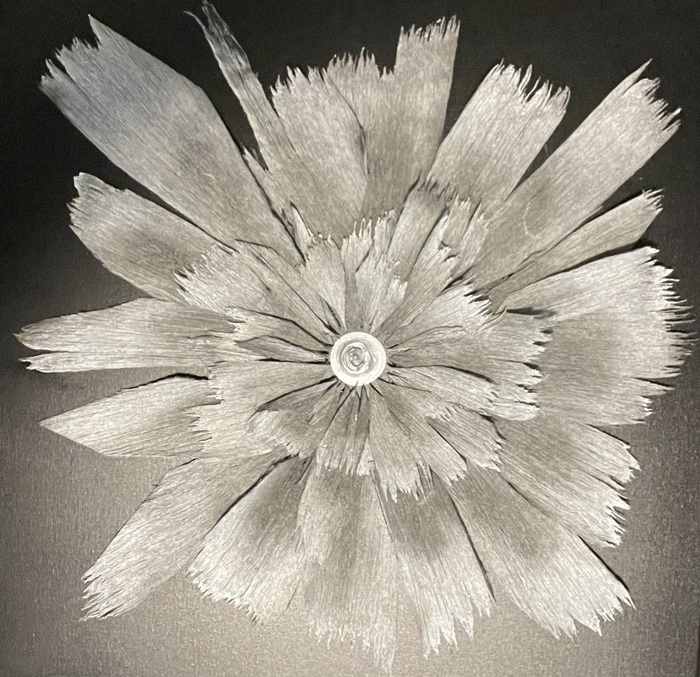 Obsidian Carnation by Oleksandr Brzhezytskyi 