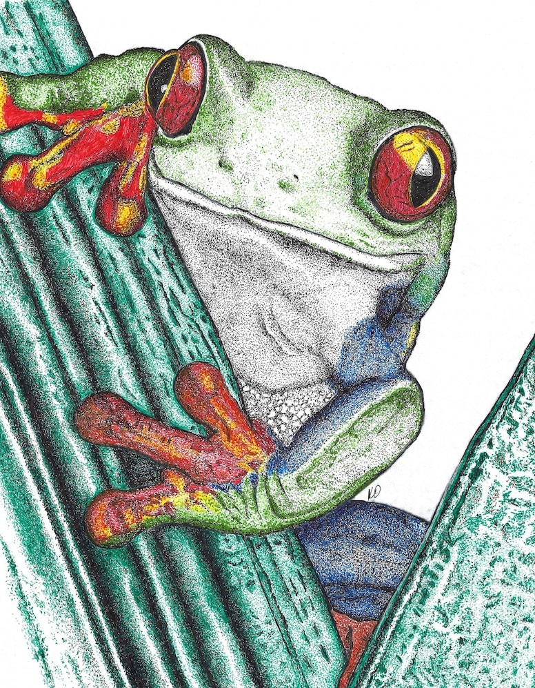 Fantastic Frog by Kecia Olney 