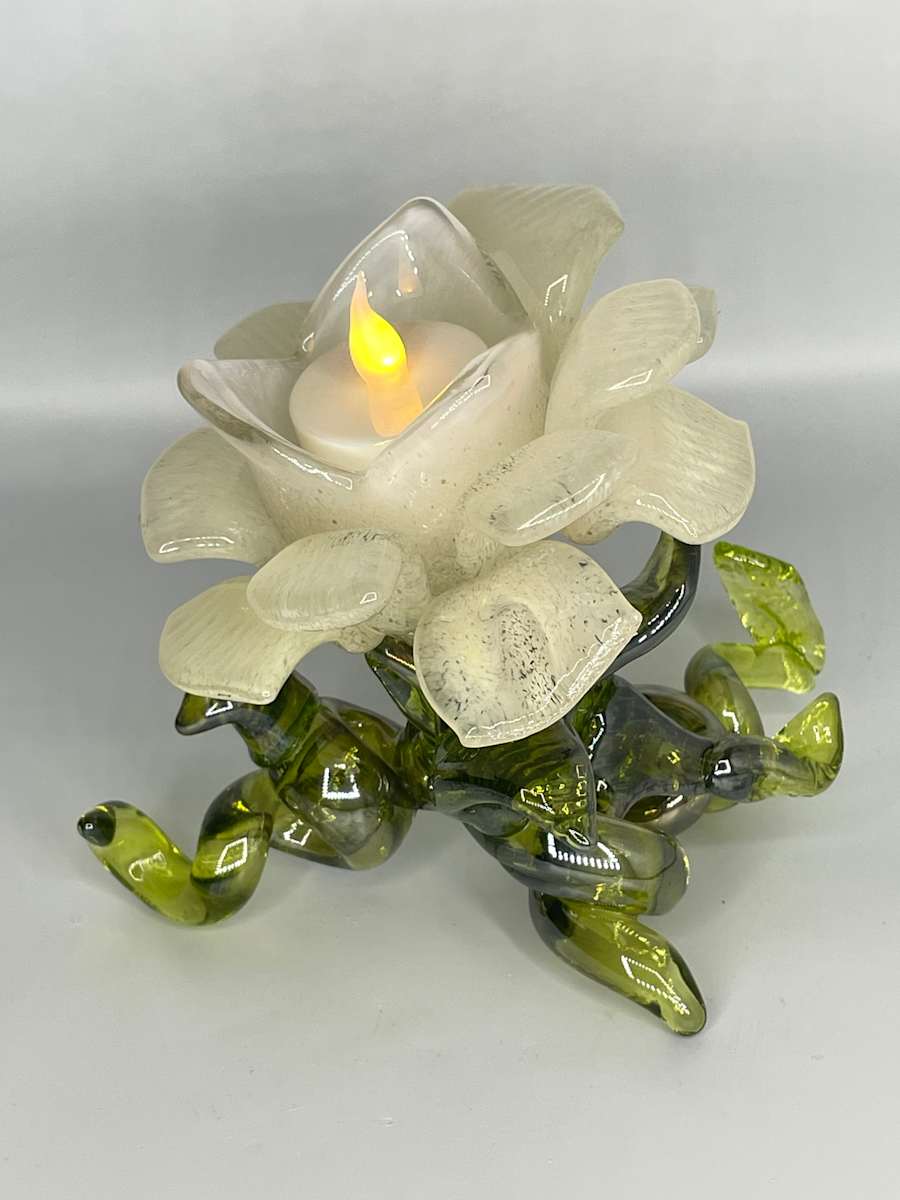 Gardenia by Chloe Plack 