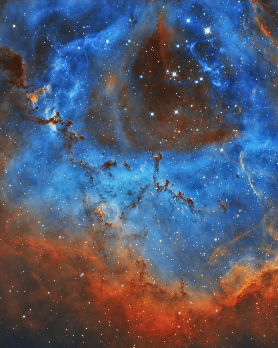 The Bok Globules of the Rosette Nebula by Anca Popa 