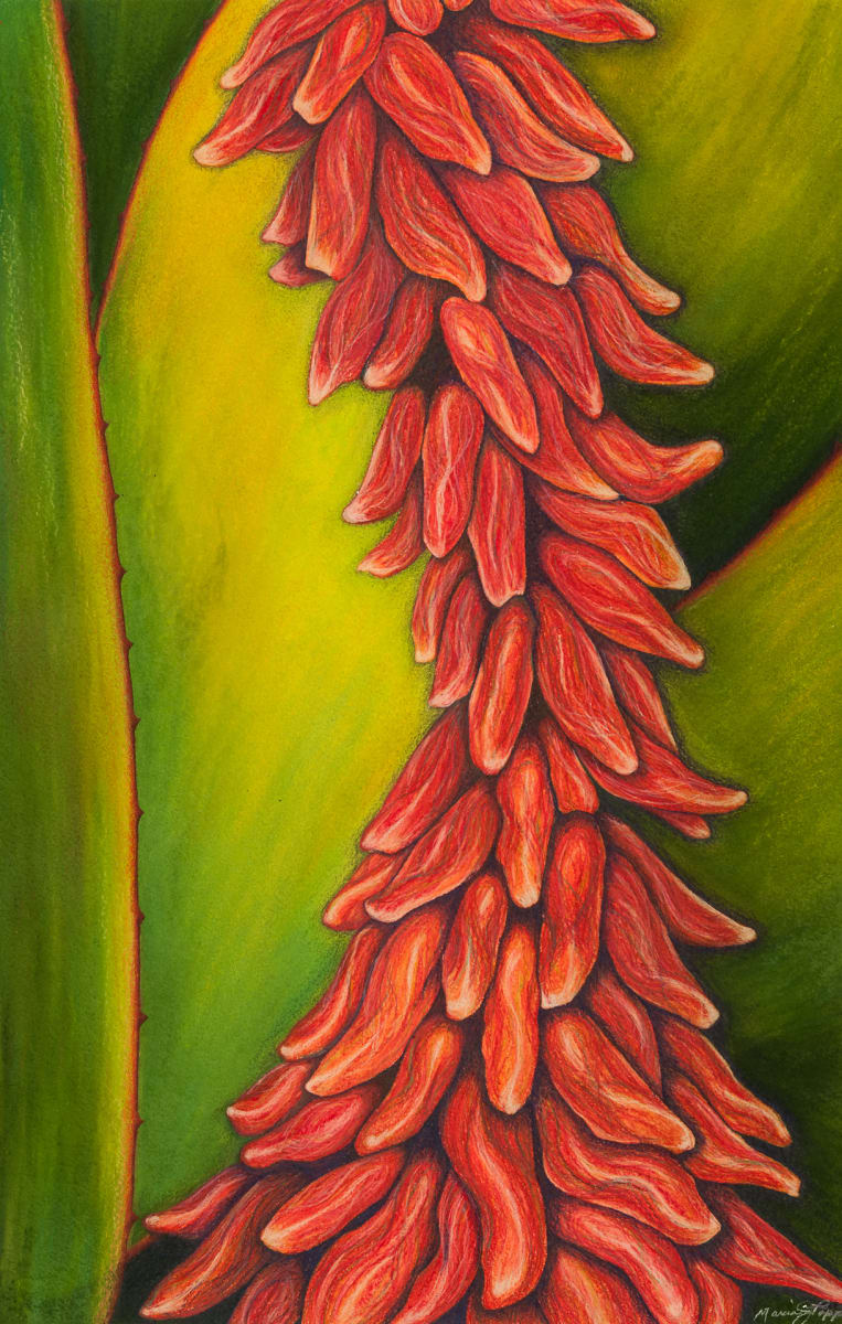 Fiery by Marcia J. Popp, Image 10.