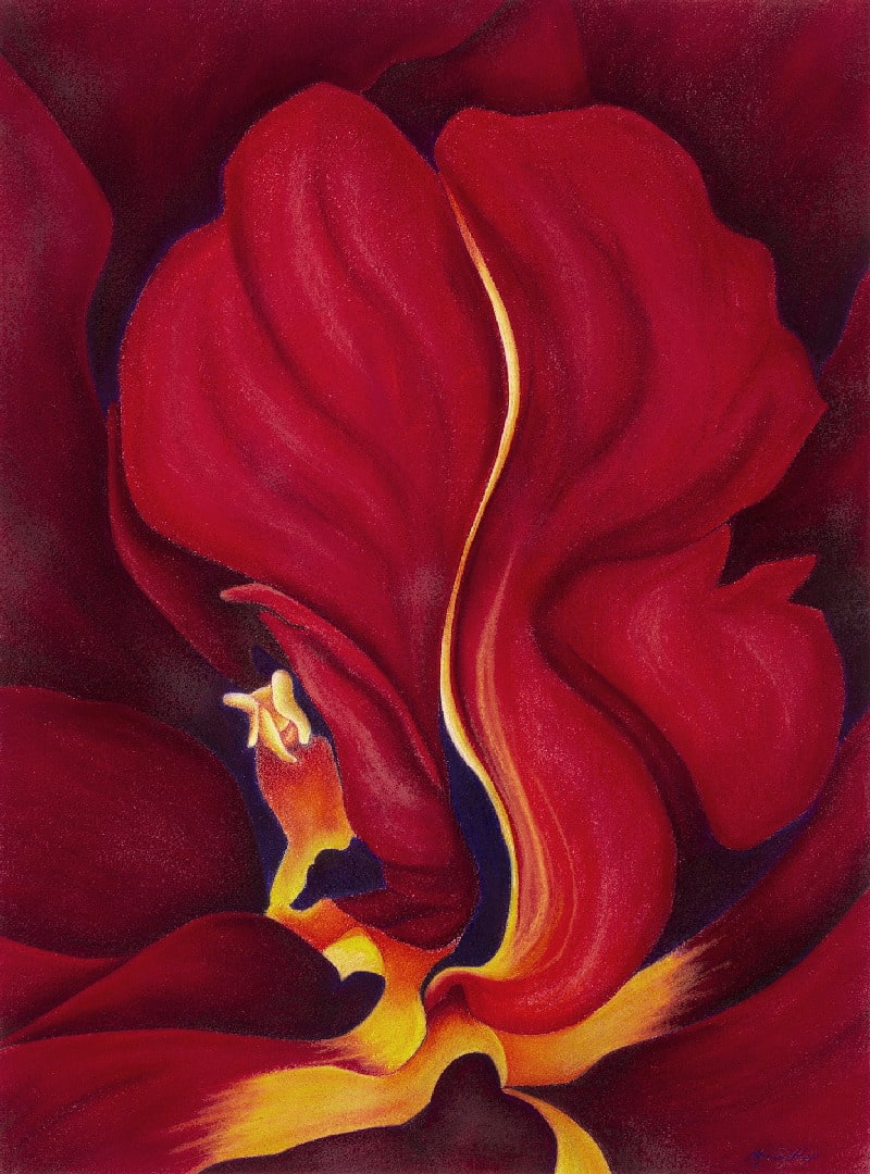 Firebird by Marcia J. Popp 