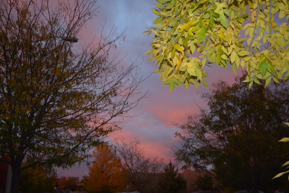 Painted Sky by Judy Quitoriano 