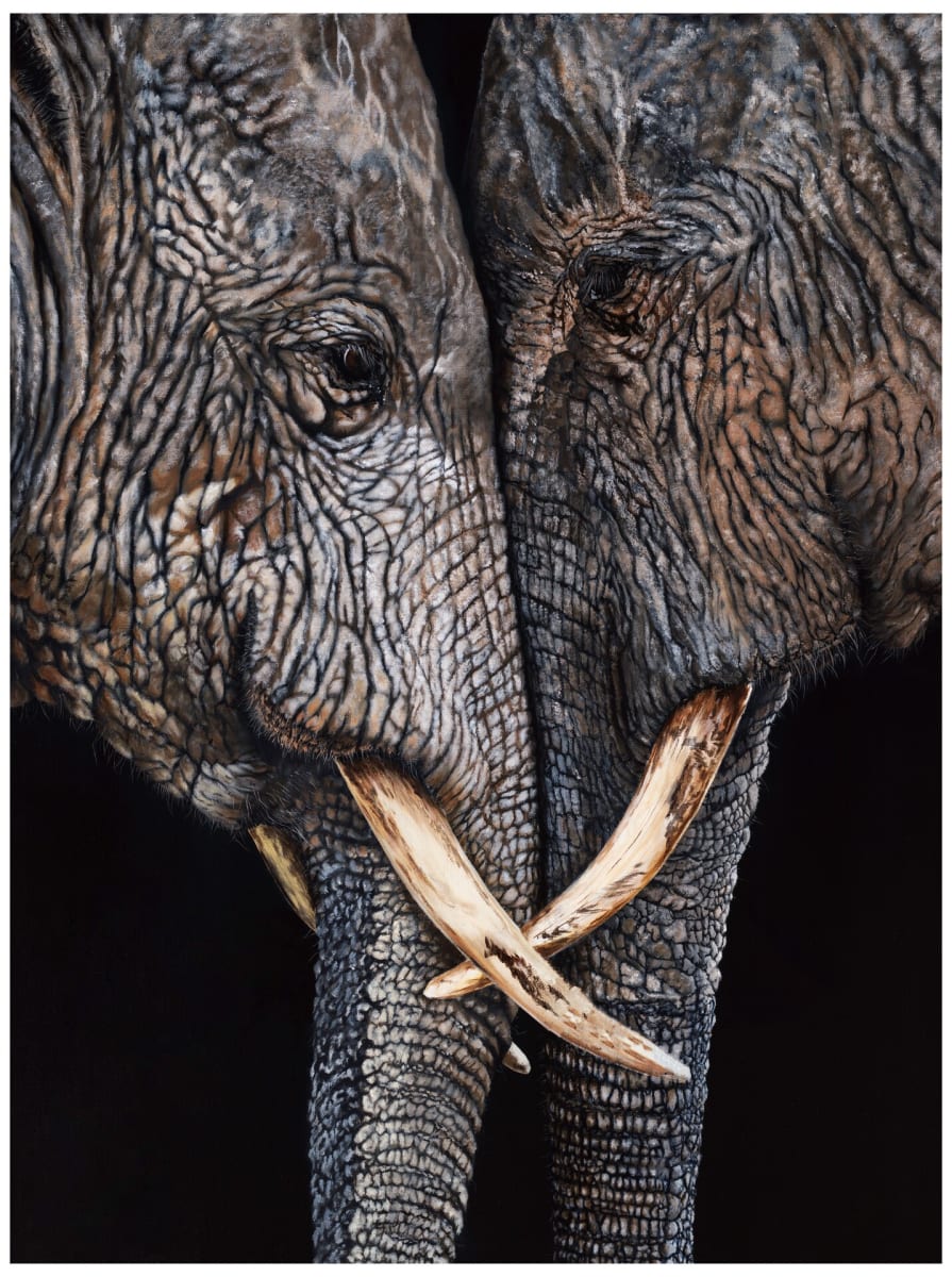 Companions by Hassan Qureshi, Image 7.