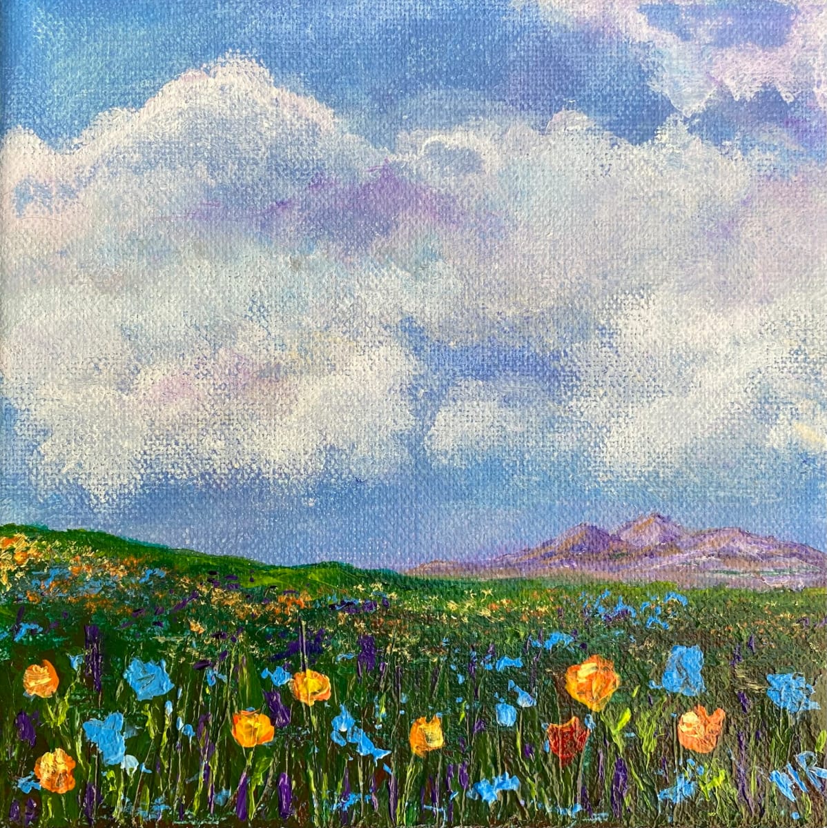 California Wildflowers by Helen Ramsay 