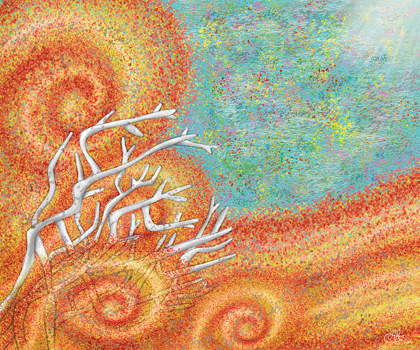 Bleaching by Alyssa Renner, Image 5.